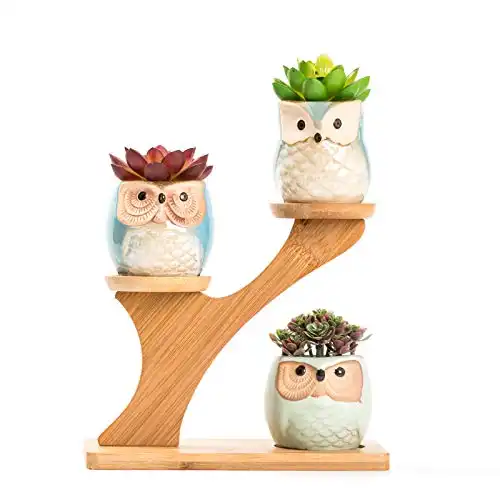 LukieJac Owl Succulent Pots