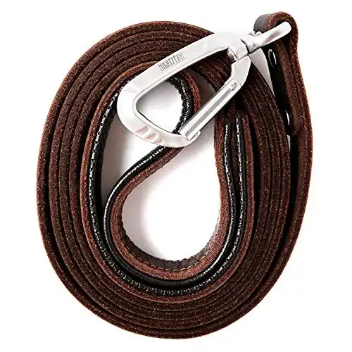 Mighty Paw Leather Dog Leash