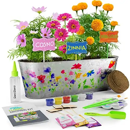 Dan&Darci Paint & Plant Flower Kit