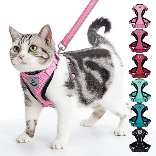 Pupteck Cat Harness & Leash